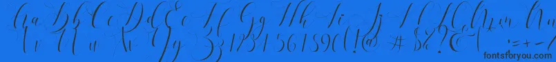 Шрифт Refillia Regular   – чёрные шрифты на синем фоне