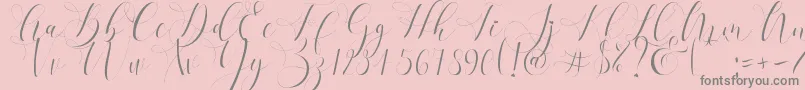 Refillia Regular  -Schriftart – Graue Schriften auf rosa Hintergrund