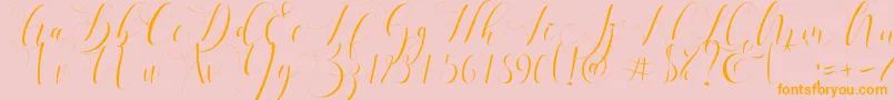 fuente Refillia Regular   – Fuentes Naranjas Sobre Fondo Rosa