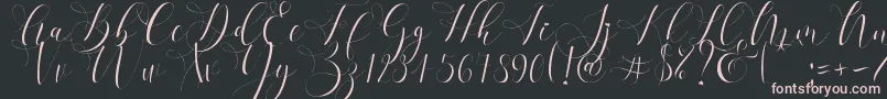 Refillia Regular   Font – Pink Fonts on Black Background