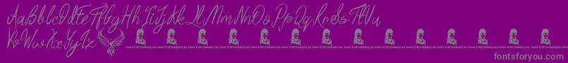 Шрифт Regal Eagle – серые шрифты на фиолетовом фоне