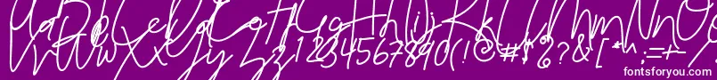 Reilly Beck Demo Font – White Fonts on Purple Background