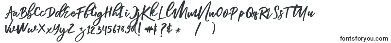 Renata Font – Handwriting Fonts