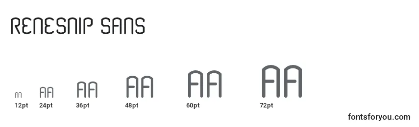 Размеры шрифта Renesnip Sans