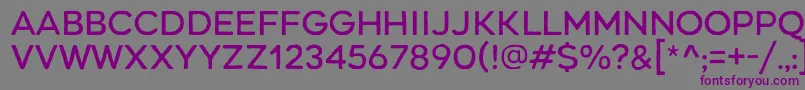 RenosRough Regular Font – Purple Fonts on Gray Background