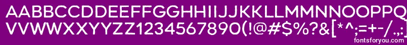 フォントRenosRough Regular – 紫の背景に白い文字