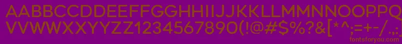 RenosRough Regular Font – Brown Fonts on Purple Background