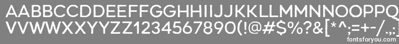 RenosRough Regular Font – White Fonts on Gray Background