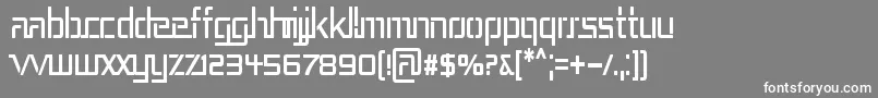 REP3CN   Font – White Fonts on Gray Background
