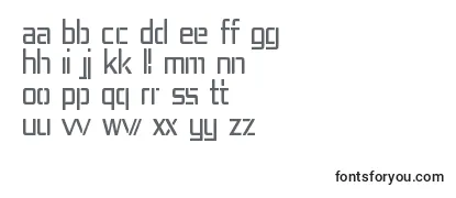 Review of the REP4CN   Font