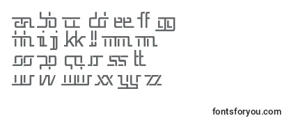 Review of the REP5CN   Font