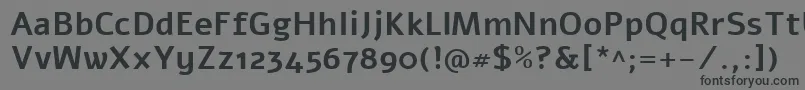 AlefBold Font – Black Fonts on Gray Background