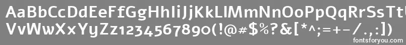 AlefBold Font – White Fonts on Gray Background