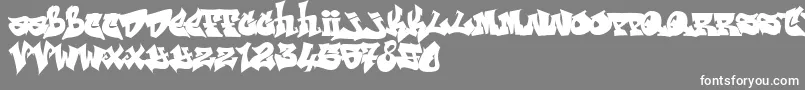 RESKAGRAF Font – White Fonts on Gray Background