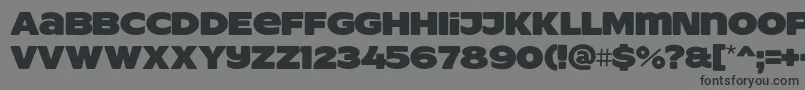 フォントResotYgPERSONALUSE – 黒い文字の灰色の背景