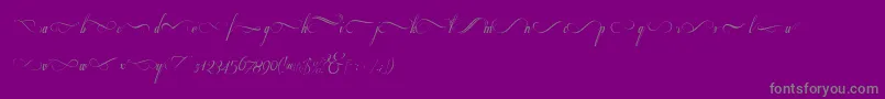 Respective 2 0 Swashes-Schriftart – Graue Schriften auf violettem Hintergrund