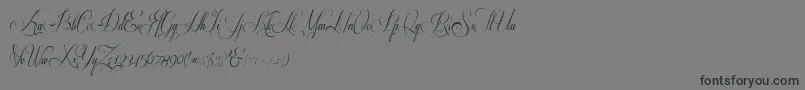 フォントRespective 2 0 – 黒い文字の灰色の背景