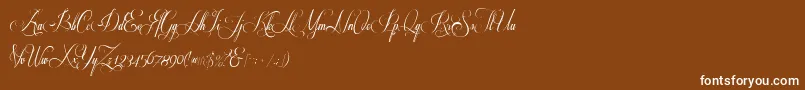 Respective 2 0-Schriftart – Weiße Schriften auf braunem Hintergrund