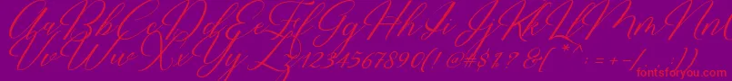 Restiany Script Font – Red Fonts on Purple Background