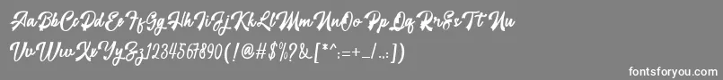 フォントrestyla – 灰色の背景に白い文字