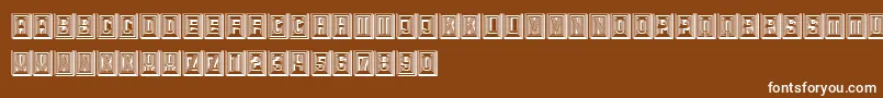 Retailer3D Font – White Fonts on Brown Background
