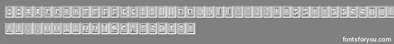 Retailer3D-Schriftart – Weiße Schriften auf grauem Hintergrund