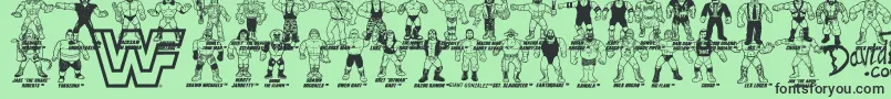 Retro WWF Hasbro Figures-Schriftart – Schwarze Schriften auf grünem Hintergrund