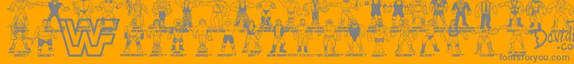 Więcej informacji o czcionce Retro WWF Hasbro Figures Czcionka Retro WWF Hasbro Figures – szare czcionki na pomarańczowym tle