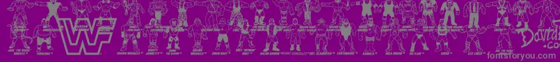 Police Retro WWF Hasbro Figures – polices grises sur fond violet