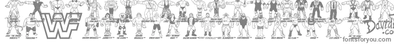 Retro WWF Hasbro Figures-Schriftart – Graue Schriften