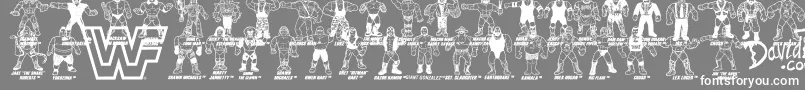 Retro WWF Hasbro Figures-Schriftart – Weiße Schriften auf grauem Hintergrund