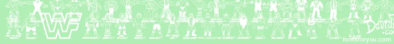 フォントRetro WWF Hasbro Figures – 緑の背景に白い文字