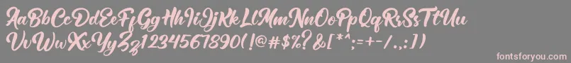 Retrofest Font – Pink Fonts on Gray Background
