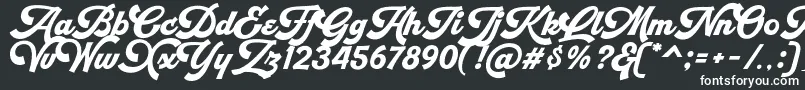 Шрифт Retrofunk Script Personal Use – белые шрифты на чёрном фоне