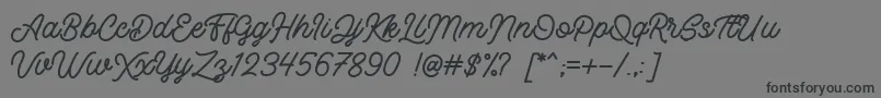 Retrology DEMO Font – Black Fonts on Gray Background