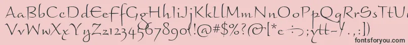 BraganzaItcLight Font – Black Fonts on Pink Background