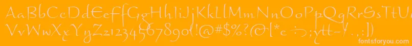 BraganzaItcLight Font – Pink Fonts on Orange Background