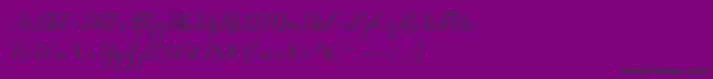 Revallyna Font – Black Fonts on Purple Background