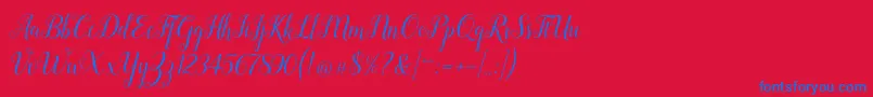 fuente Revallyna – Fuentes Azules Sobre Fondo Rojo