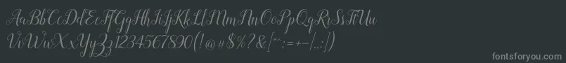 Revallyna Font – Gray Fonts on Black Background