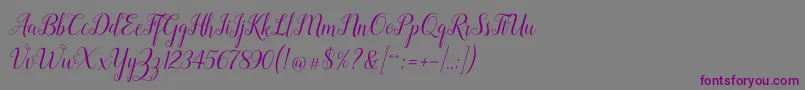 Revallyna Font – Purple Fonts on Gray Background