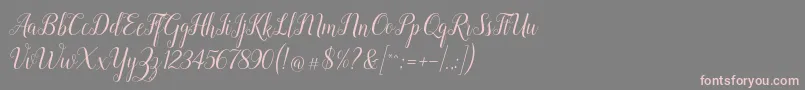 Revallyna Font – Pink Fonts on Gray Background