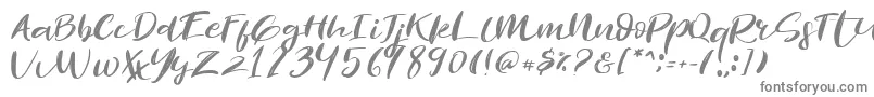 Revolution Brush Font Font – Gray Fonts on White Background