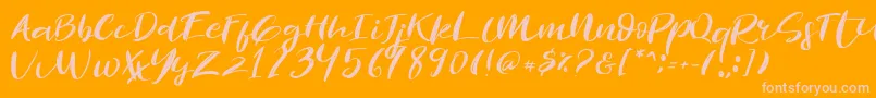 Revolution Brush Font Font – Pink Fonts on Orange Background