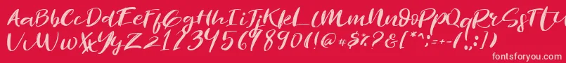 Fonte Revolution Brush Font – fontes rosa em um fundo vermelho