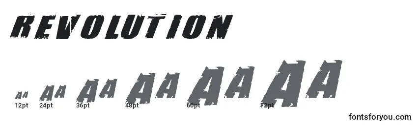 REVOLUTION (138613) Font Sizes
