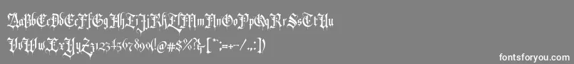 RevolverBlackletter Regular Font – White Fonts on Gray Background