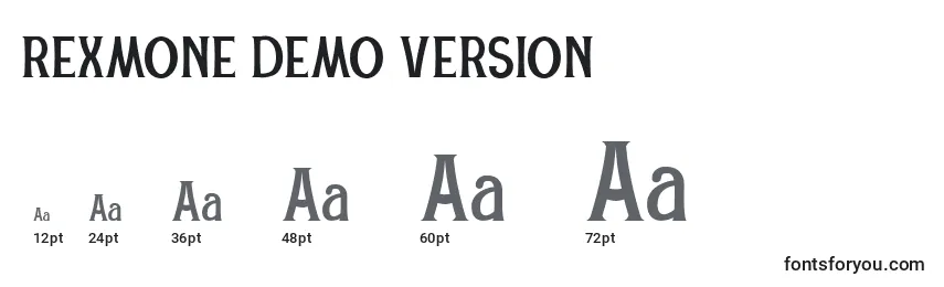 Размеры шрифта REXMONE DEMO VERSION (138618)