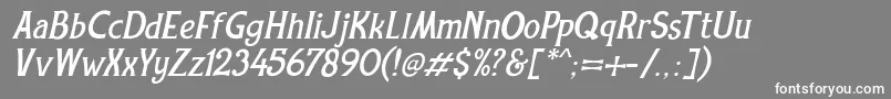 フォントREXMONE ITALIC DEMO VERSION – 灰色の背景に白い文字