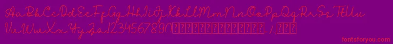 Reysha Font – Red Fonts on Purple Background